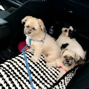 Meet your Posher, Erik